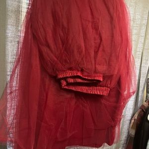 Red Tulle Skirt